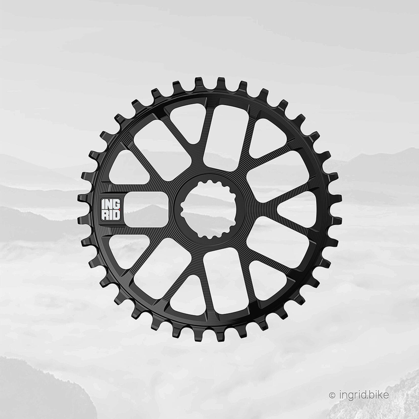Ingrid Chainrings