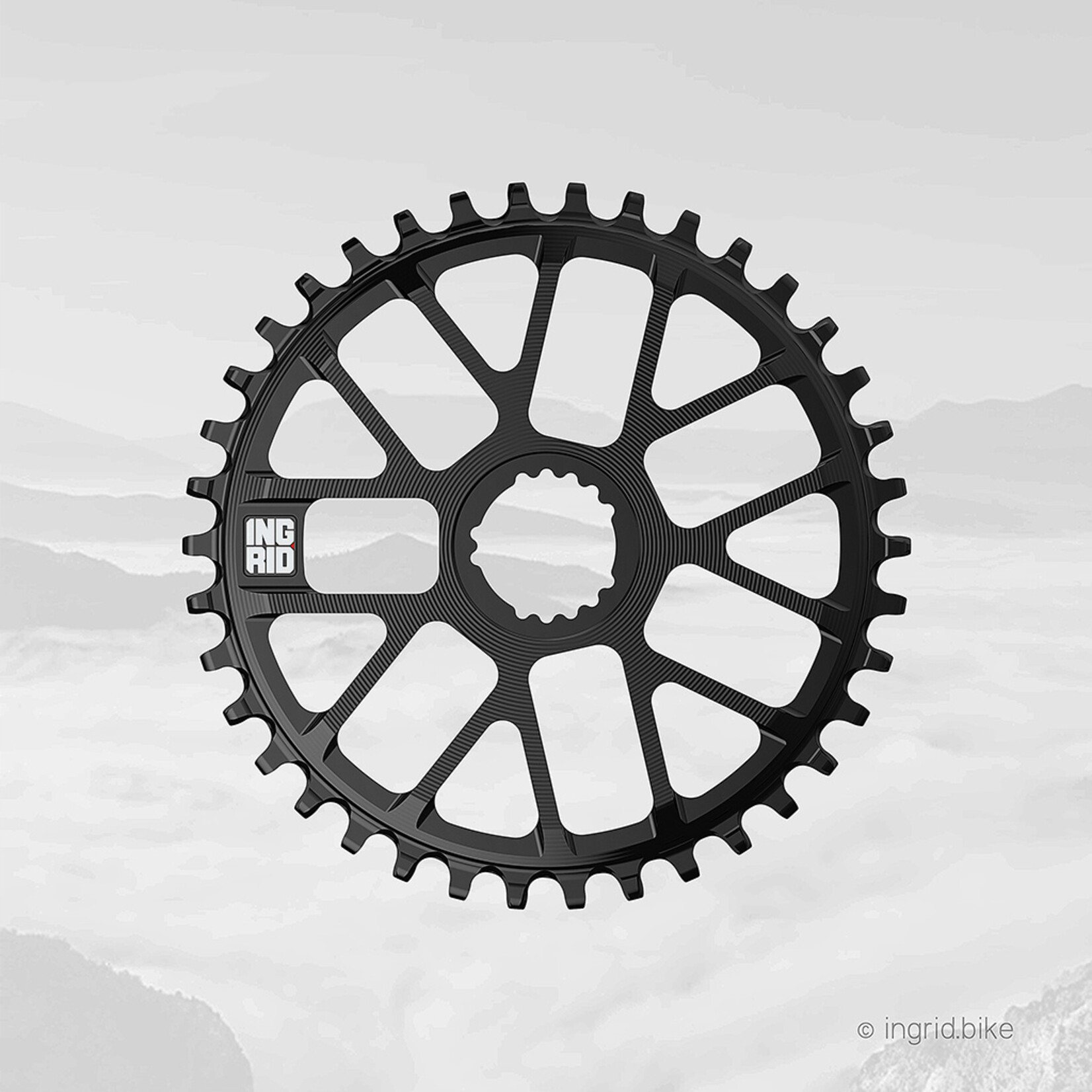 Ingrid Chainrings
