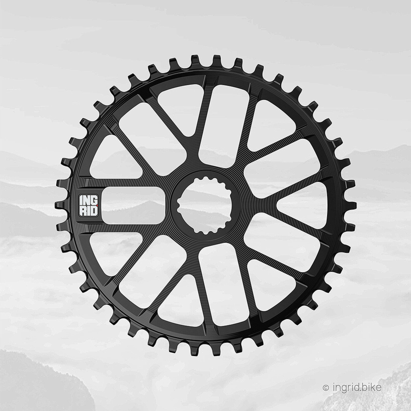 Ingrid Chainrings