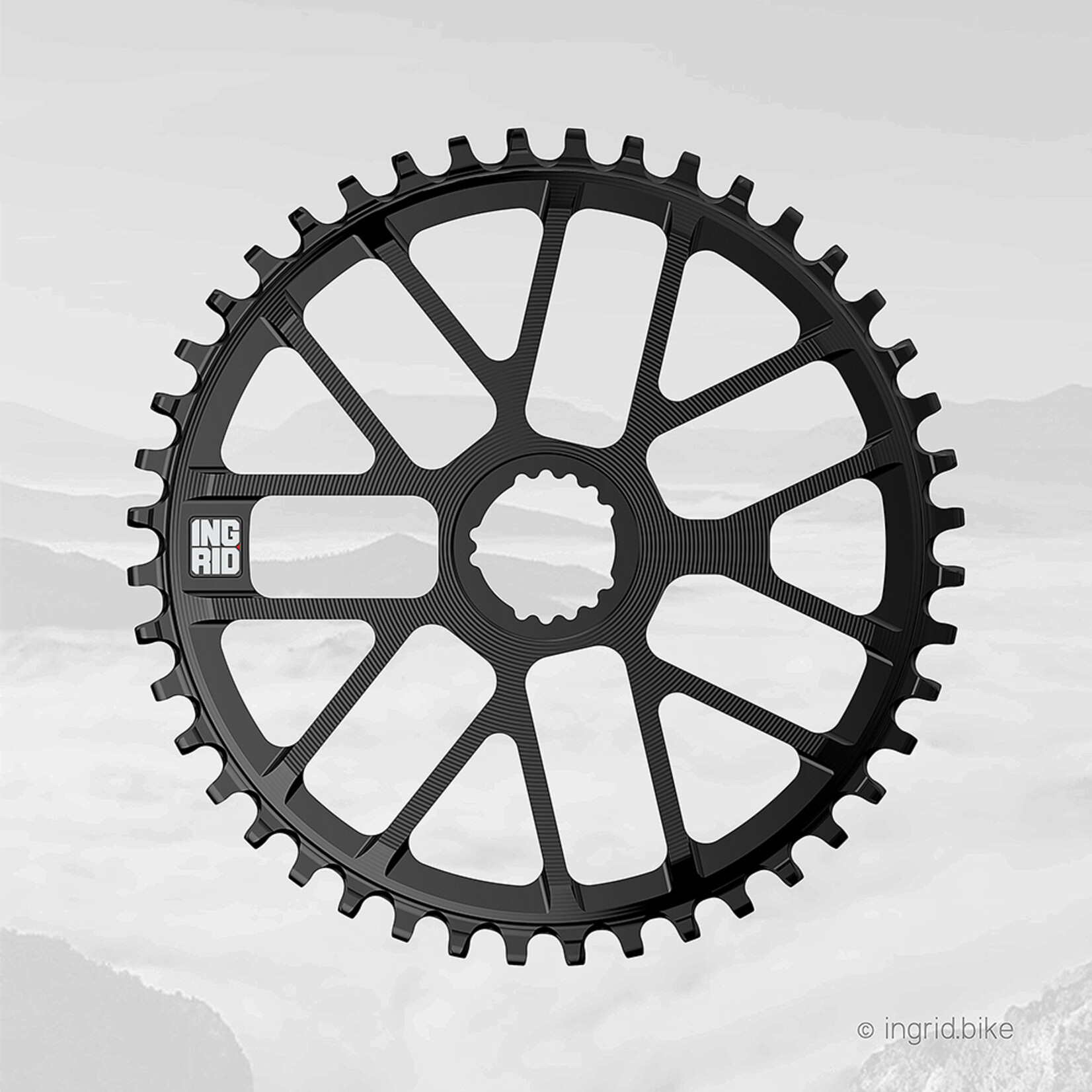 Ingrid Chainrings