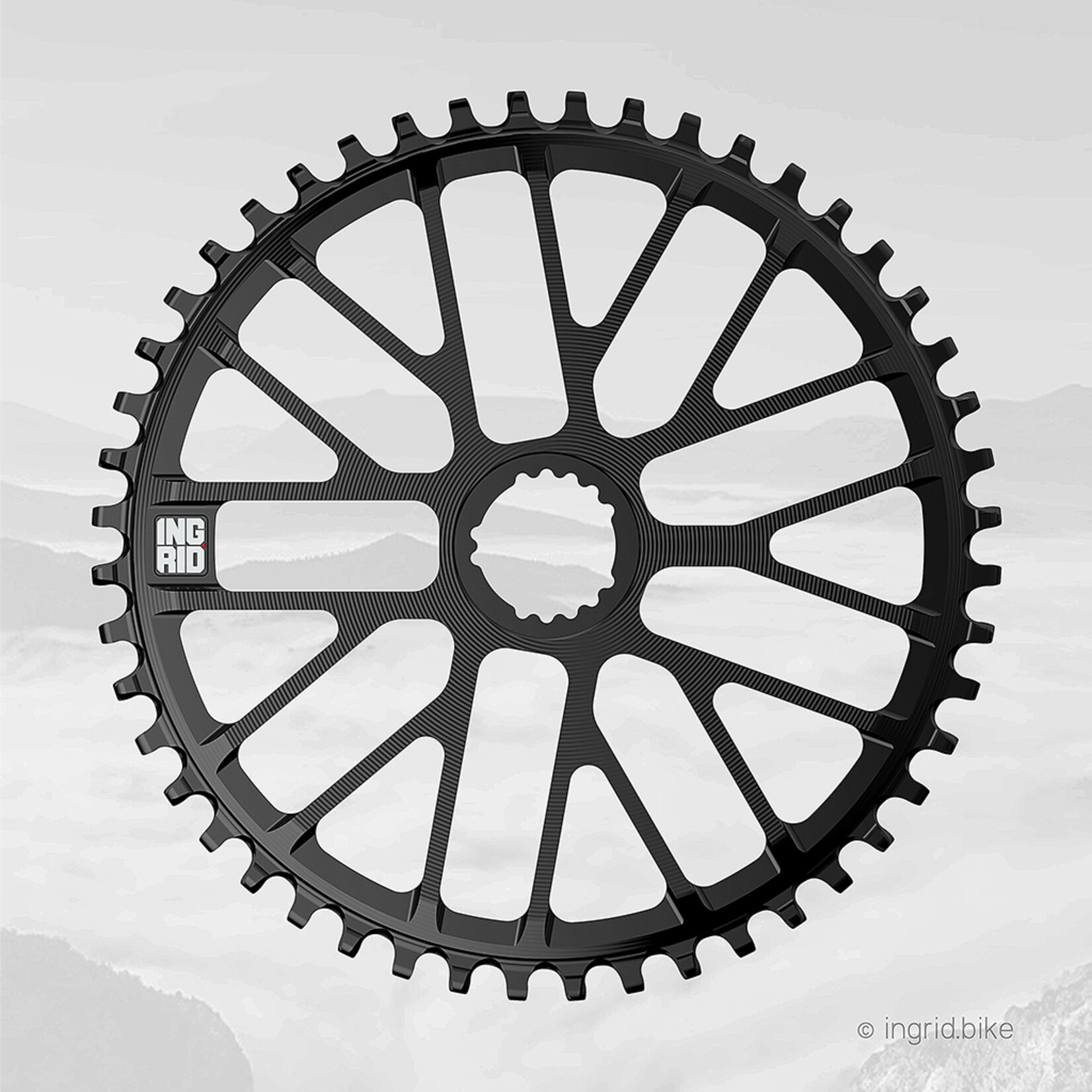 Ingrid Chainrings