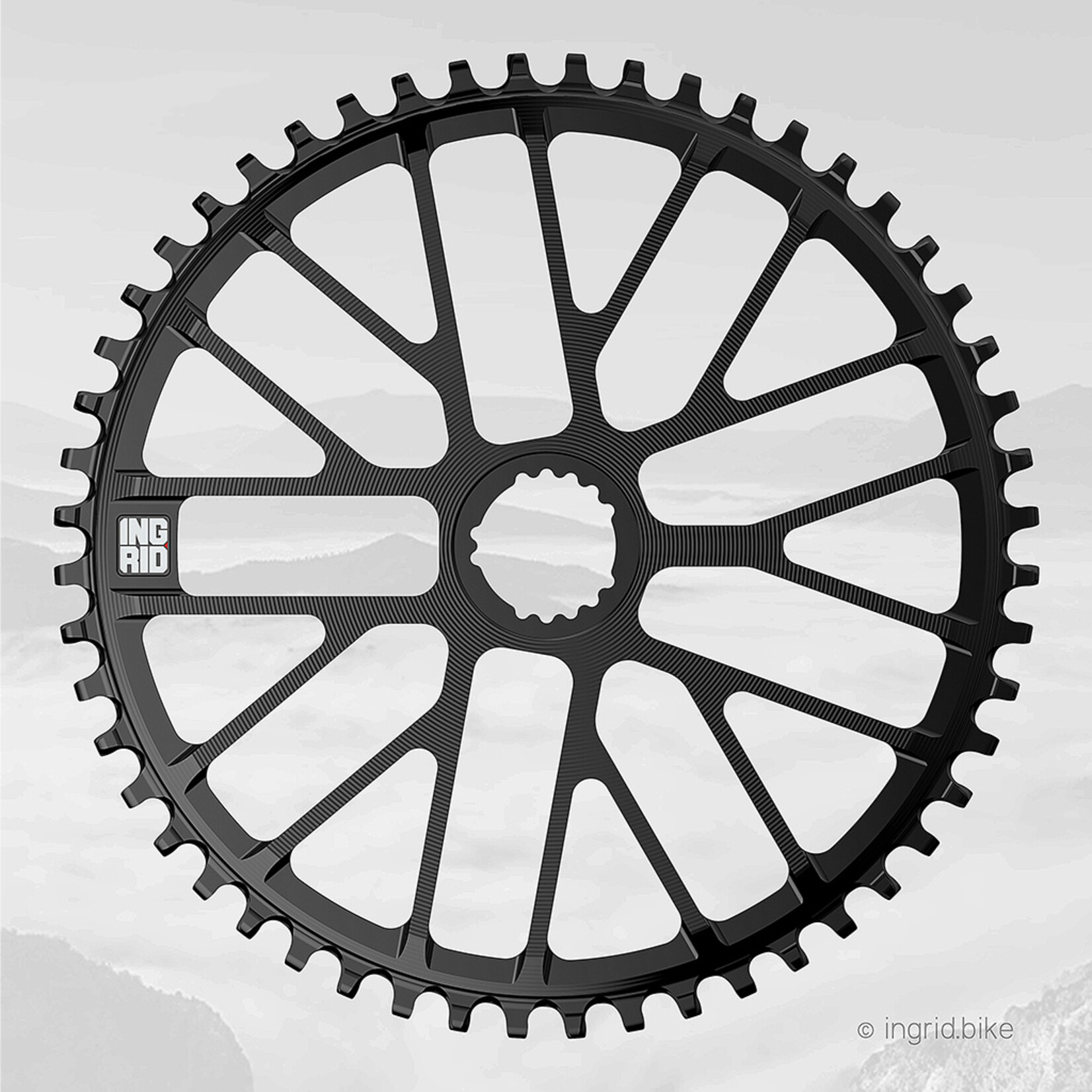 Ingrid Chainrings