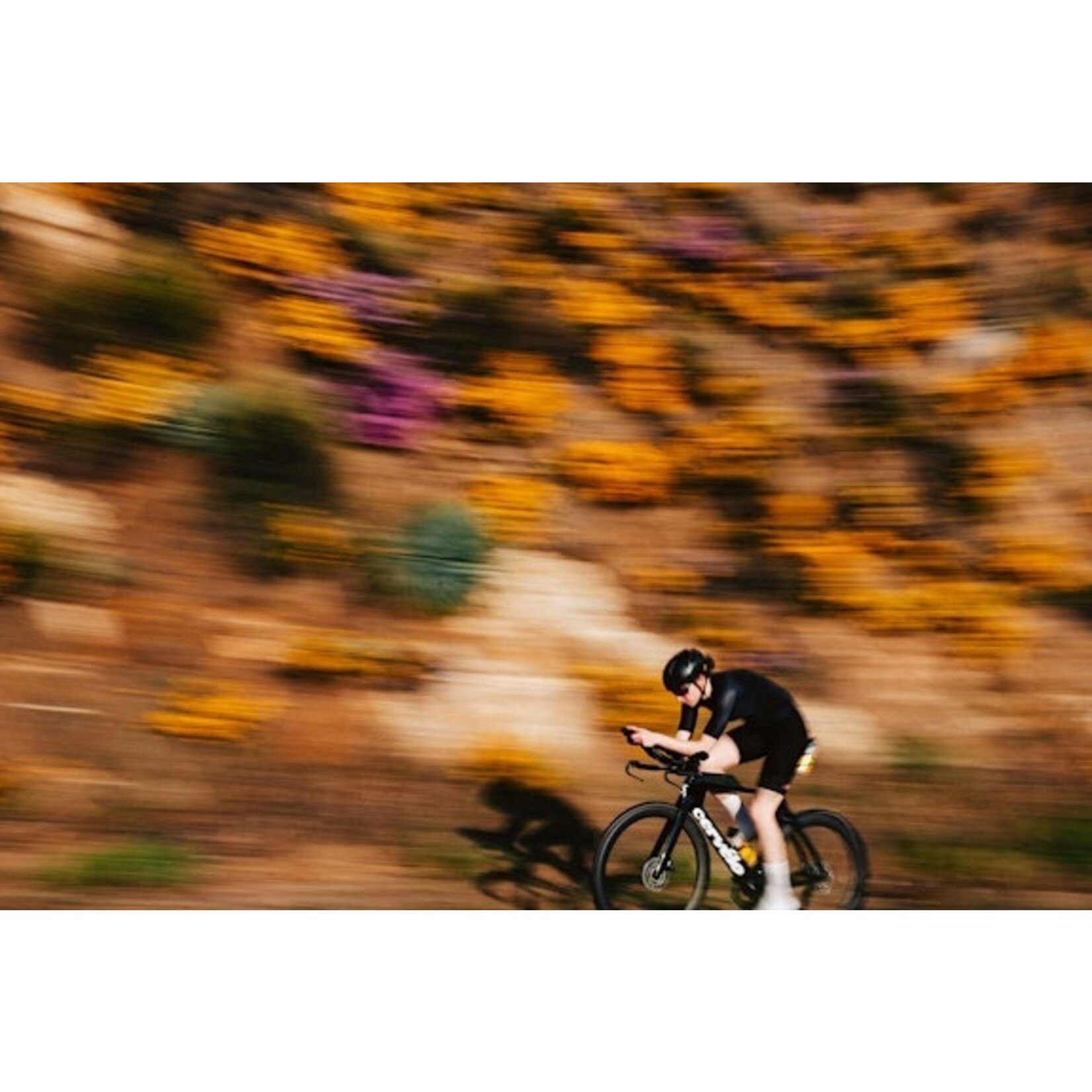 Cervélo P Rival AXS