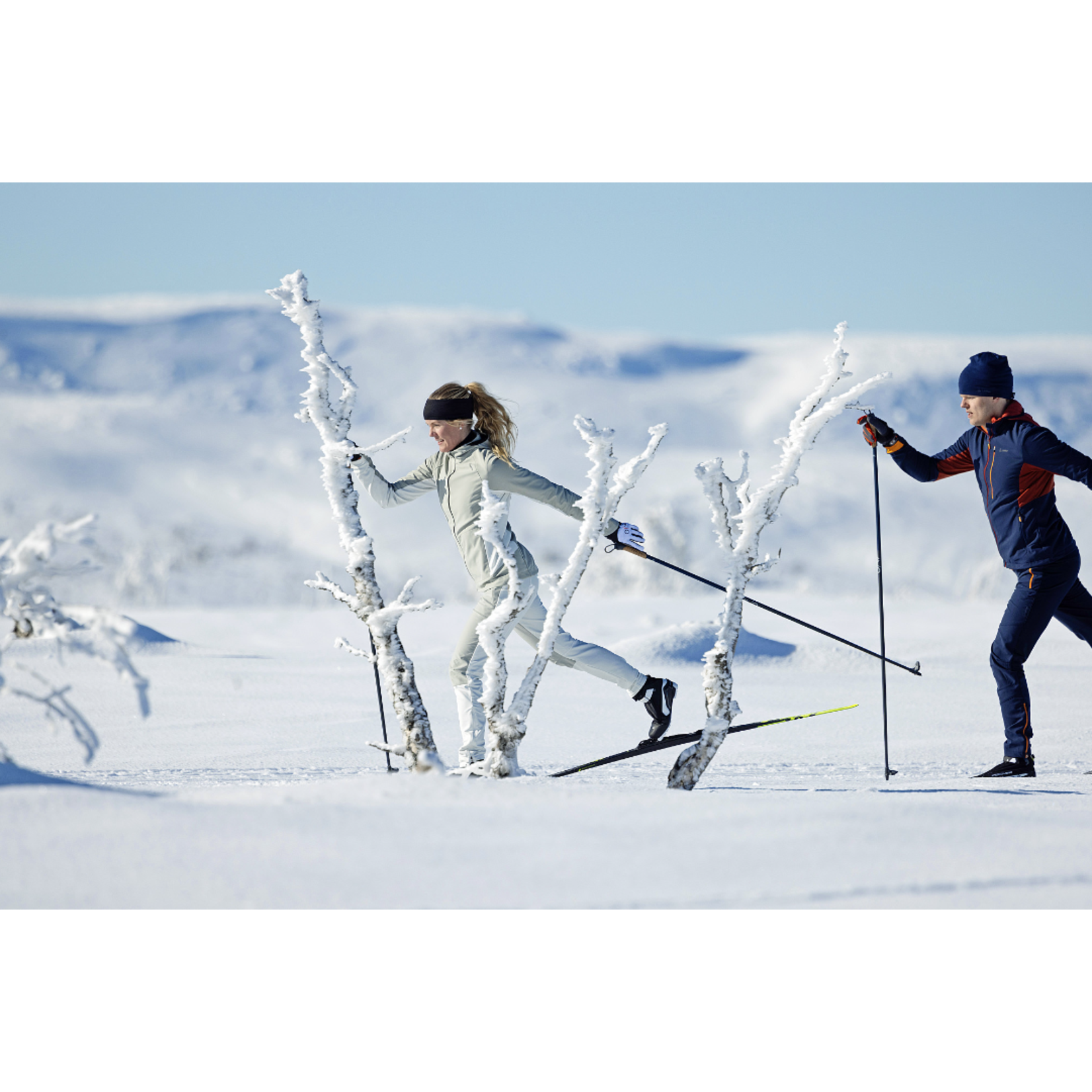 Fischer XC Pro