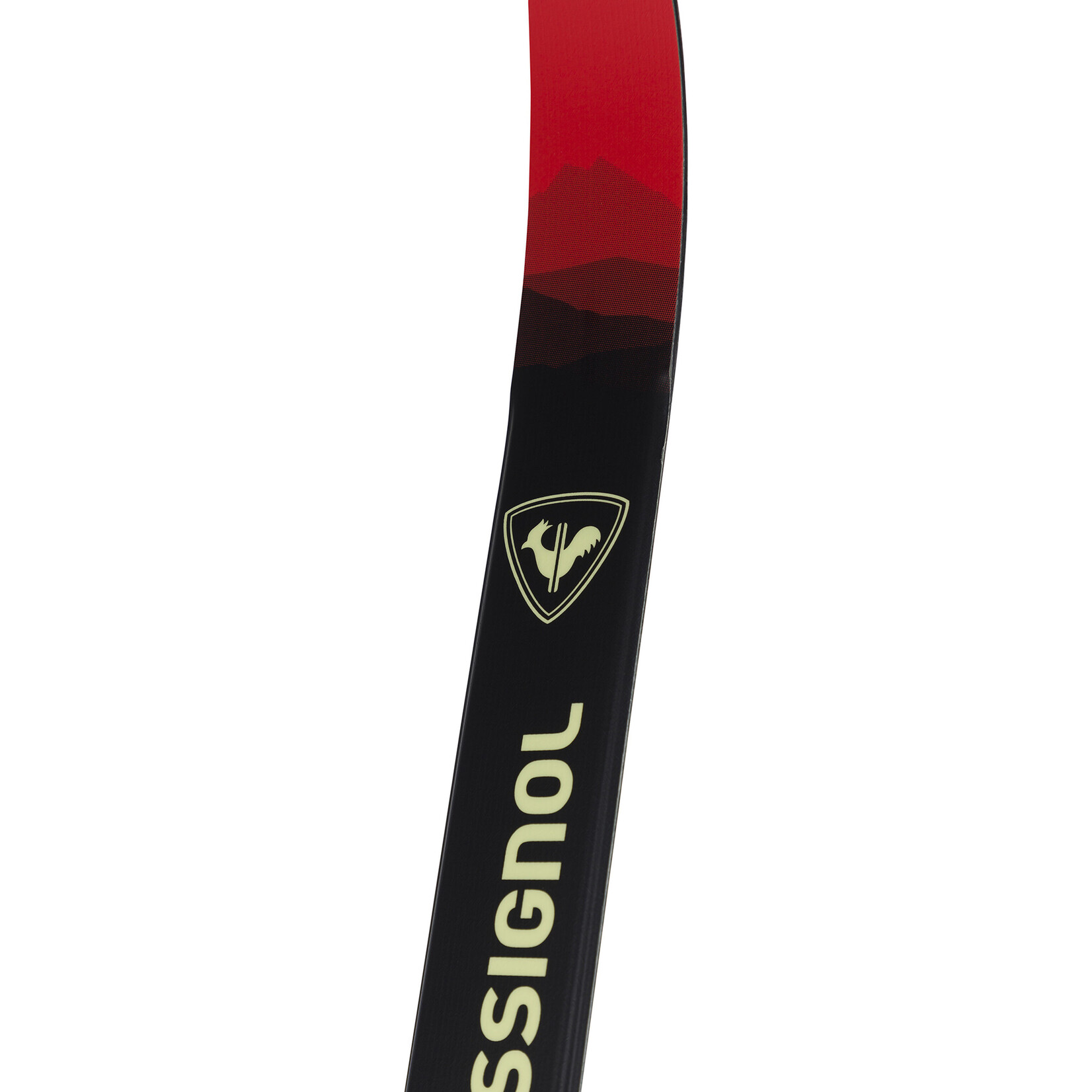 Rossignol X-Tour Venture Waxless Nordic Touring Skis