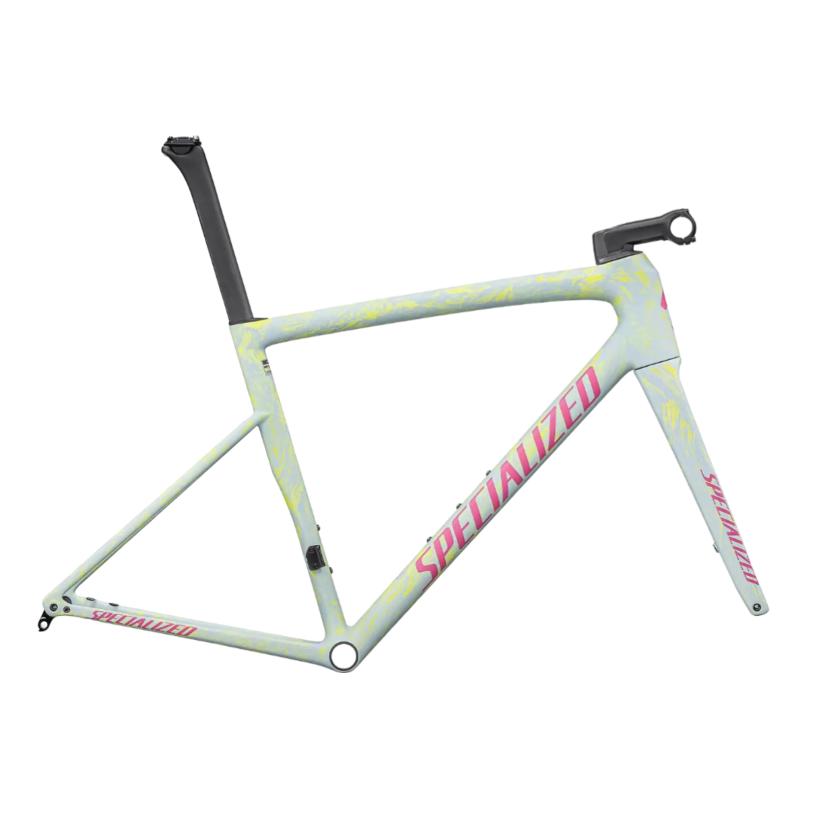 Tarmac SL8 2025 Frameset Golden Sports Inc