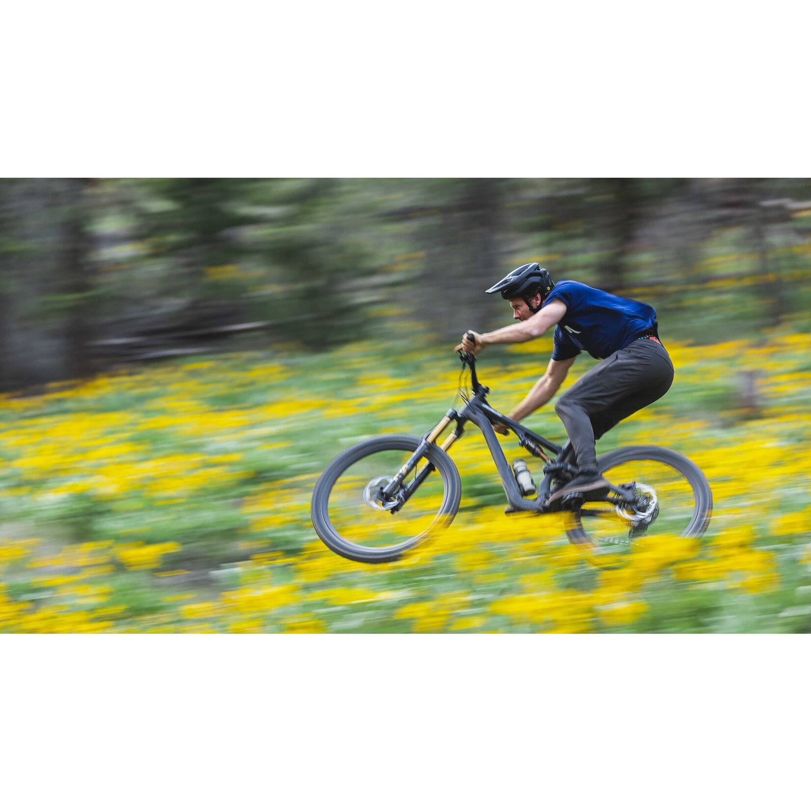 Specialized Cadre Stumpjumper 15 Alliage