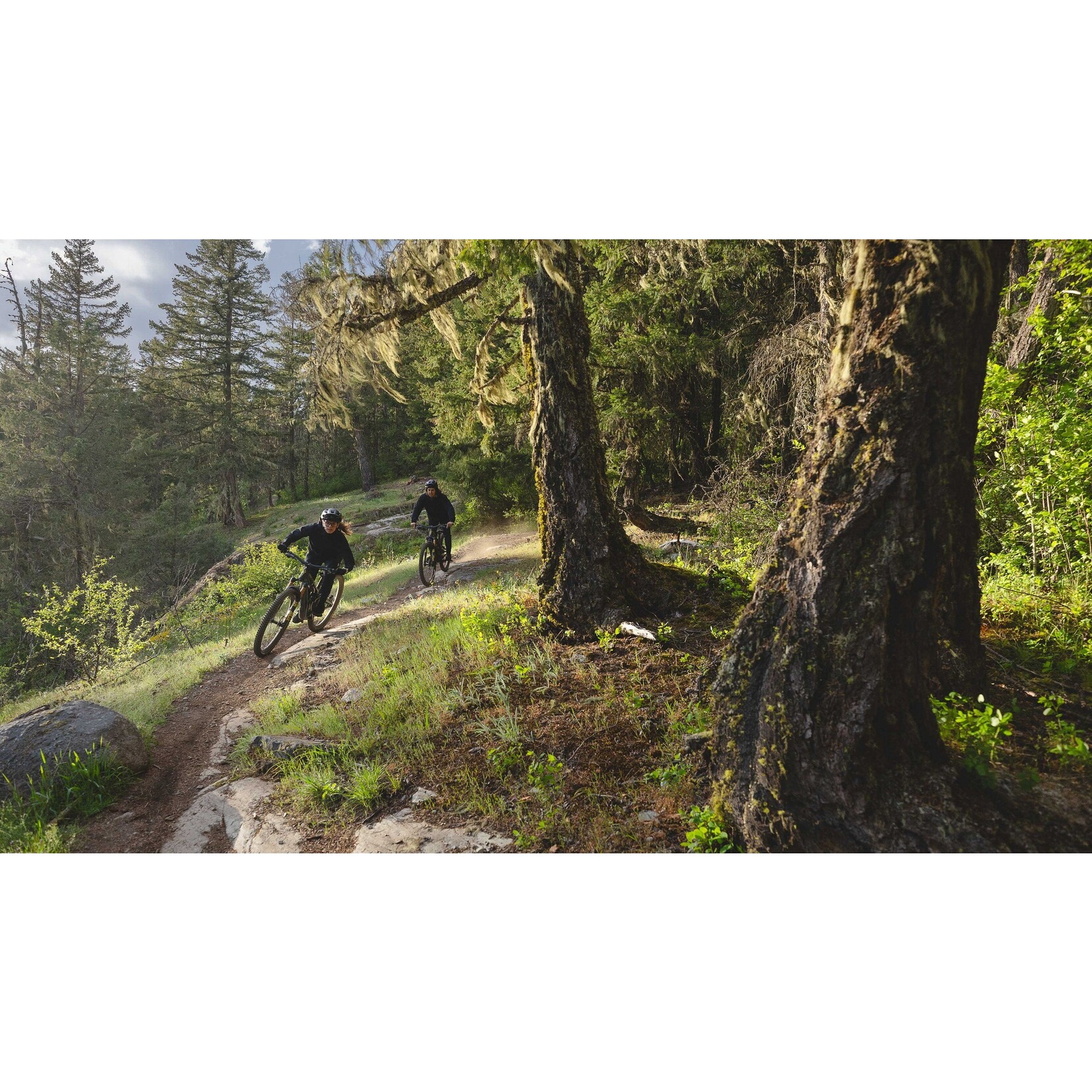 Specialized Cadre Stumpjumper 15 Alliage