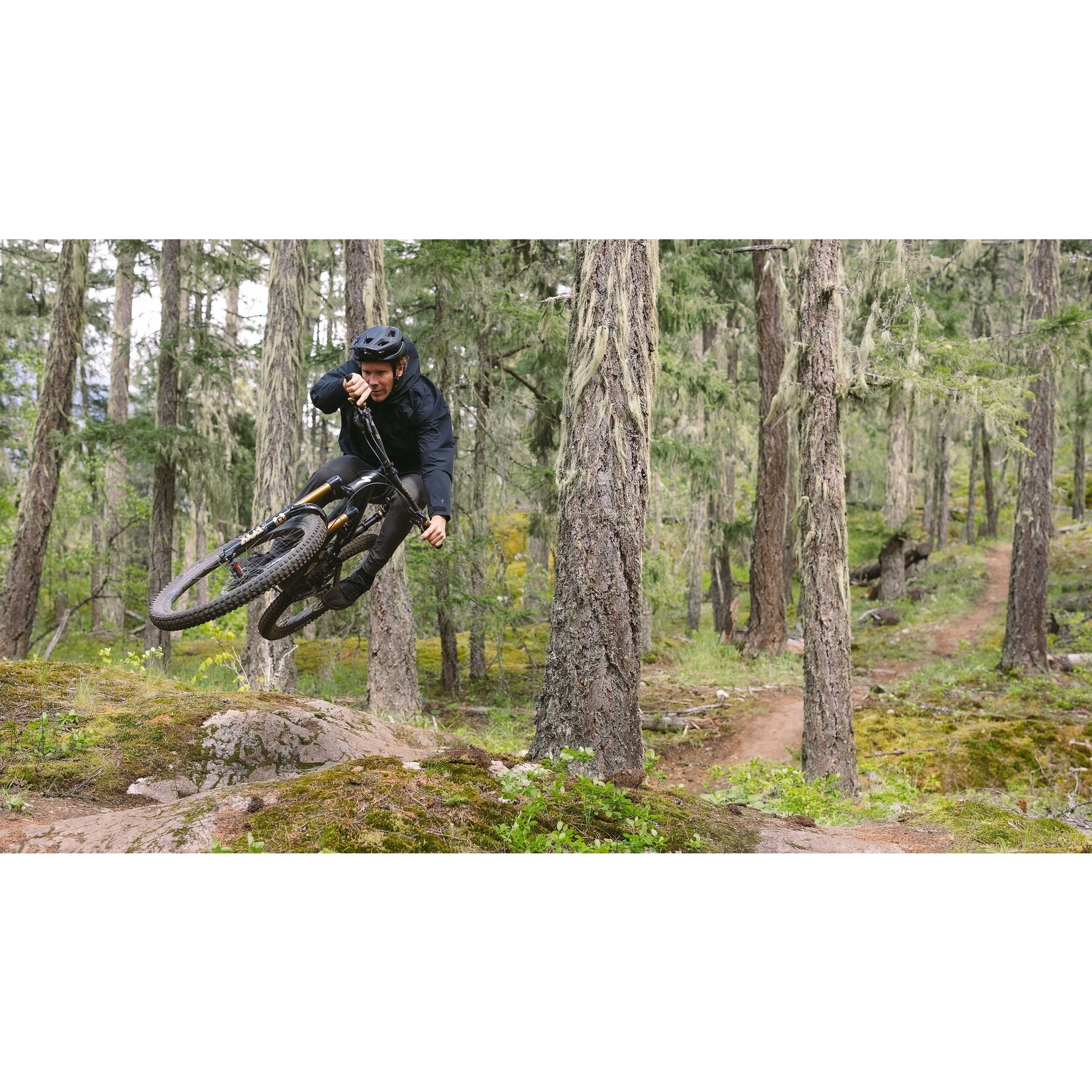 Specialized Cadre Stumpjumper 15 Alliage