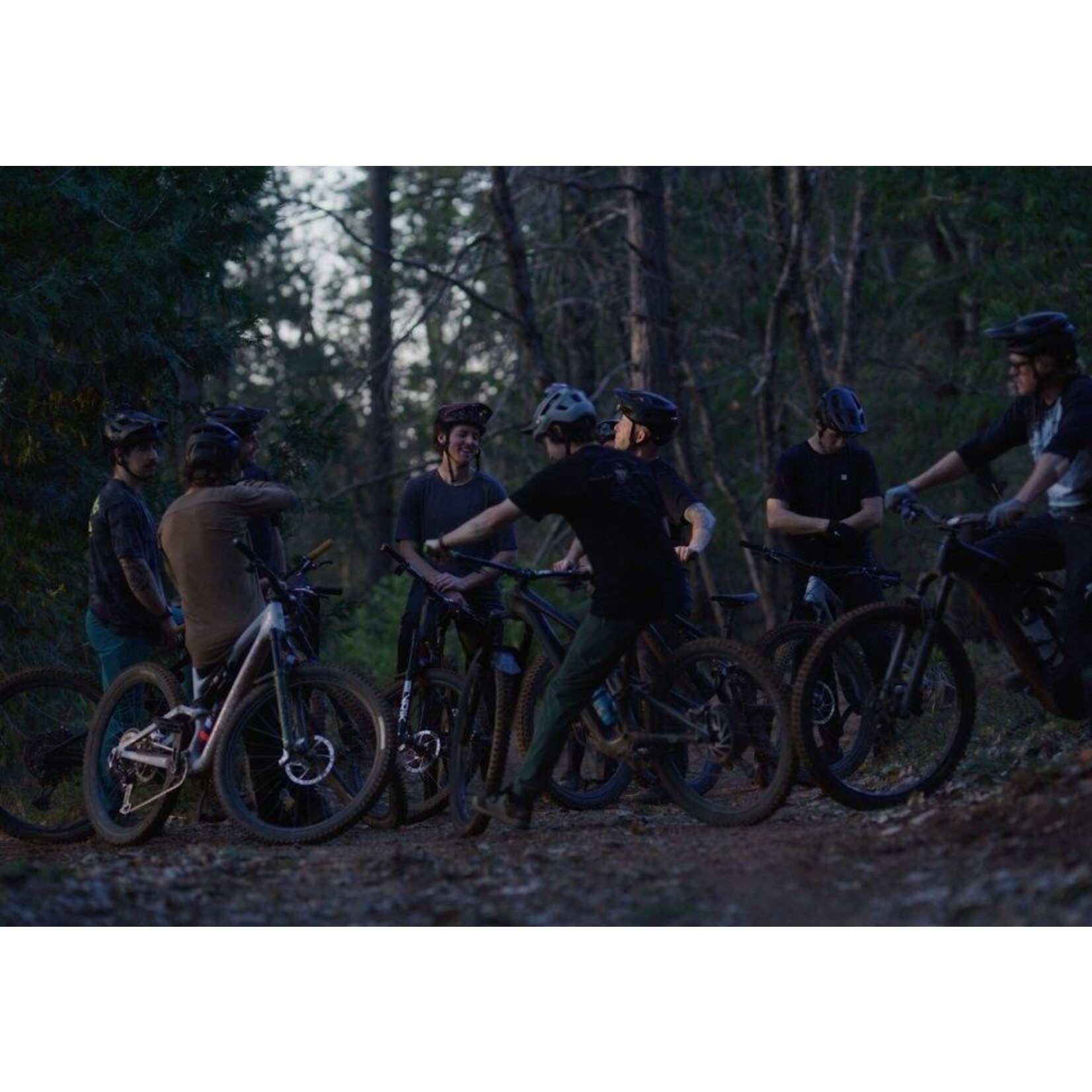 Specialized Stumpjumper 15 Alloy Frameset