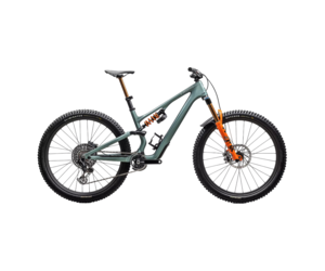 S Works Stumpjumper 15 LTD Golden Sports Inc
