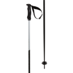 Völkl Phantastick III Poles