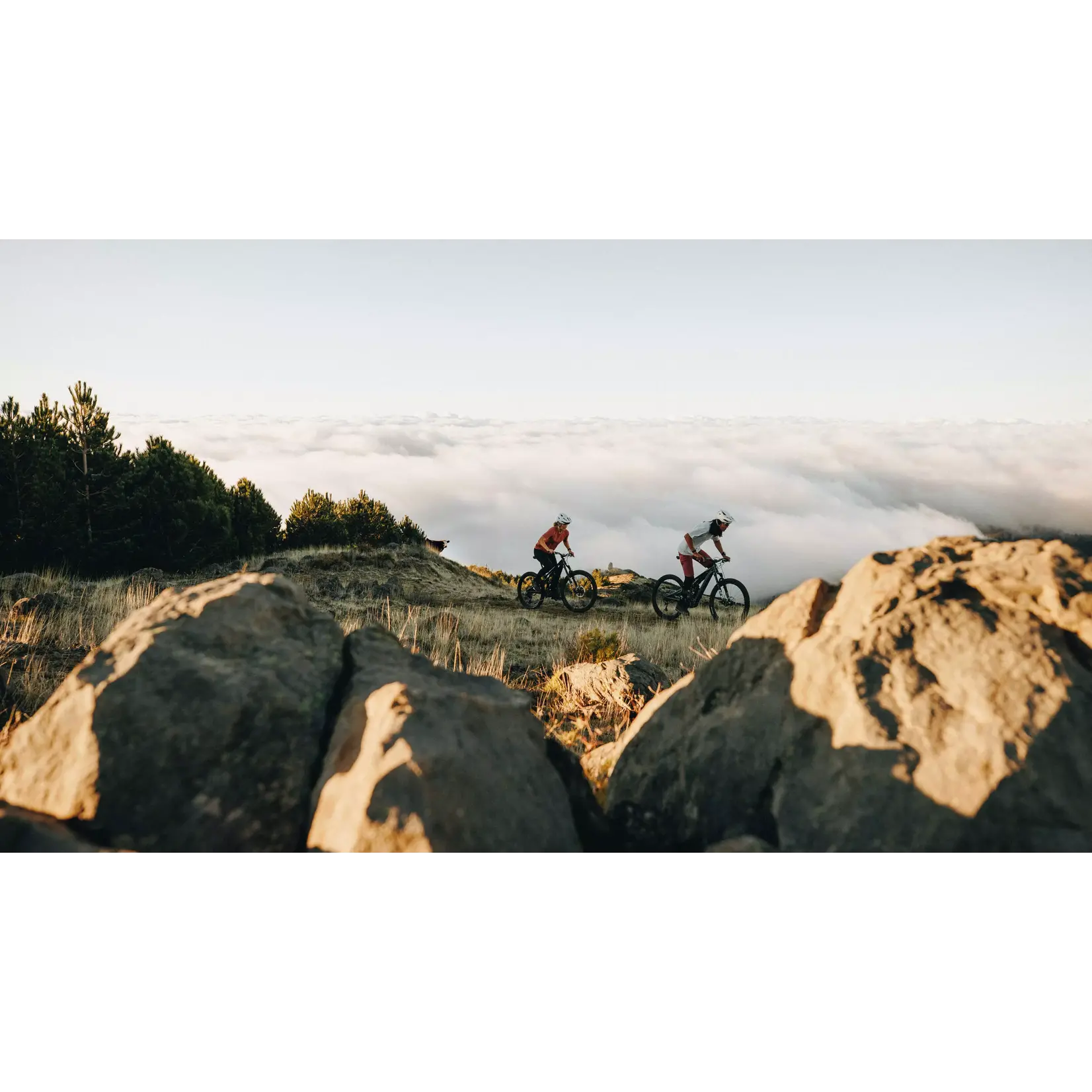 Specialized Traverse SL II Hydra2