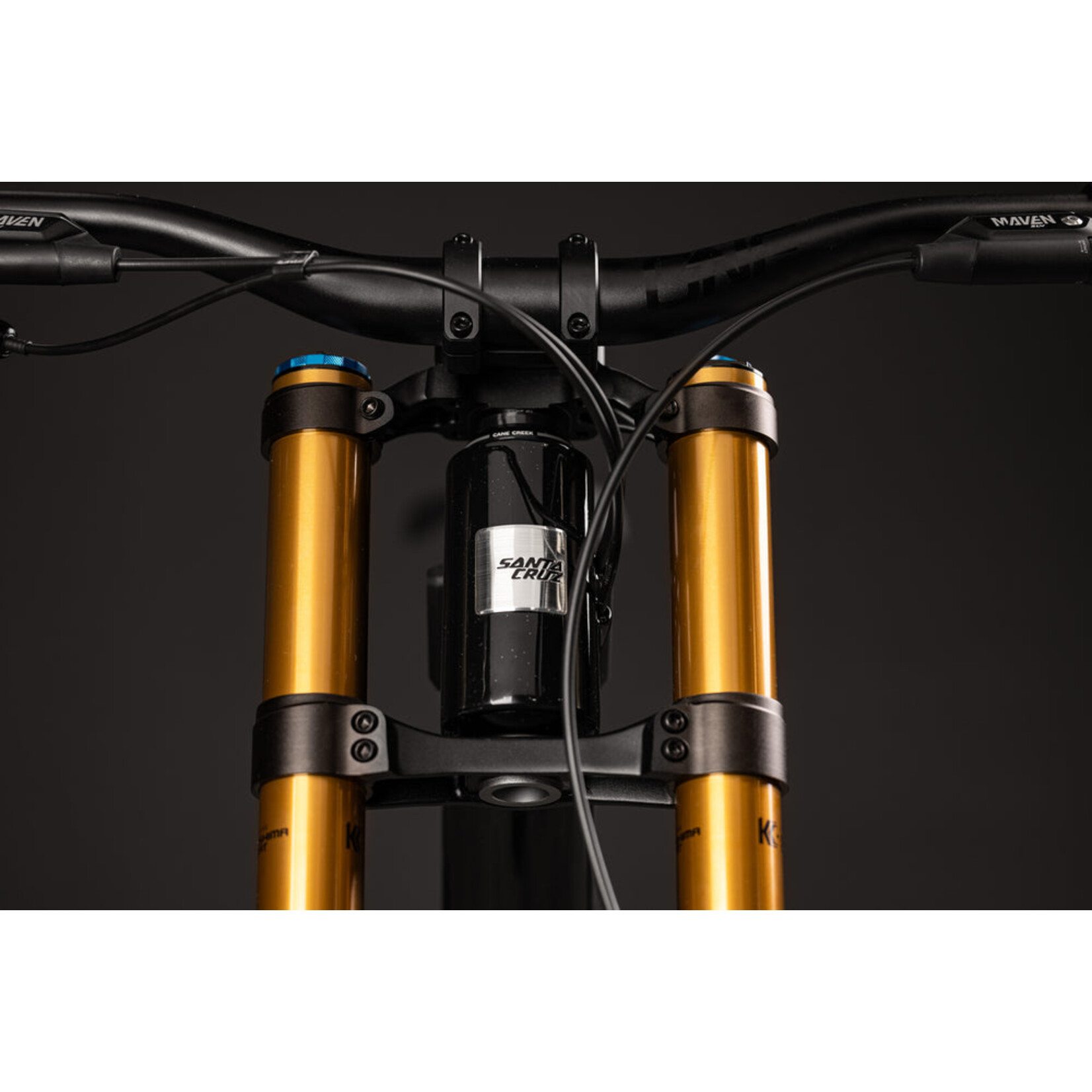 Santa Cruz V10 8 CC MX DH-X01