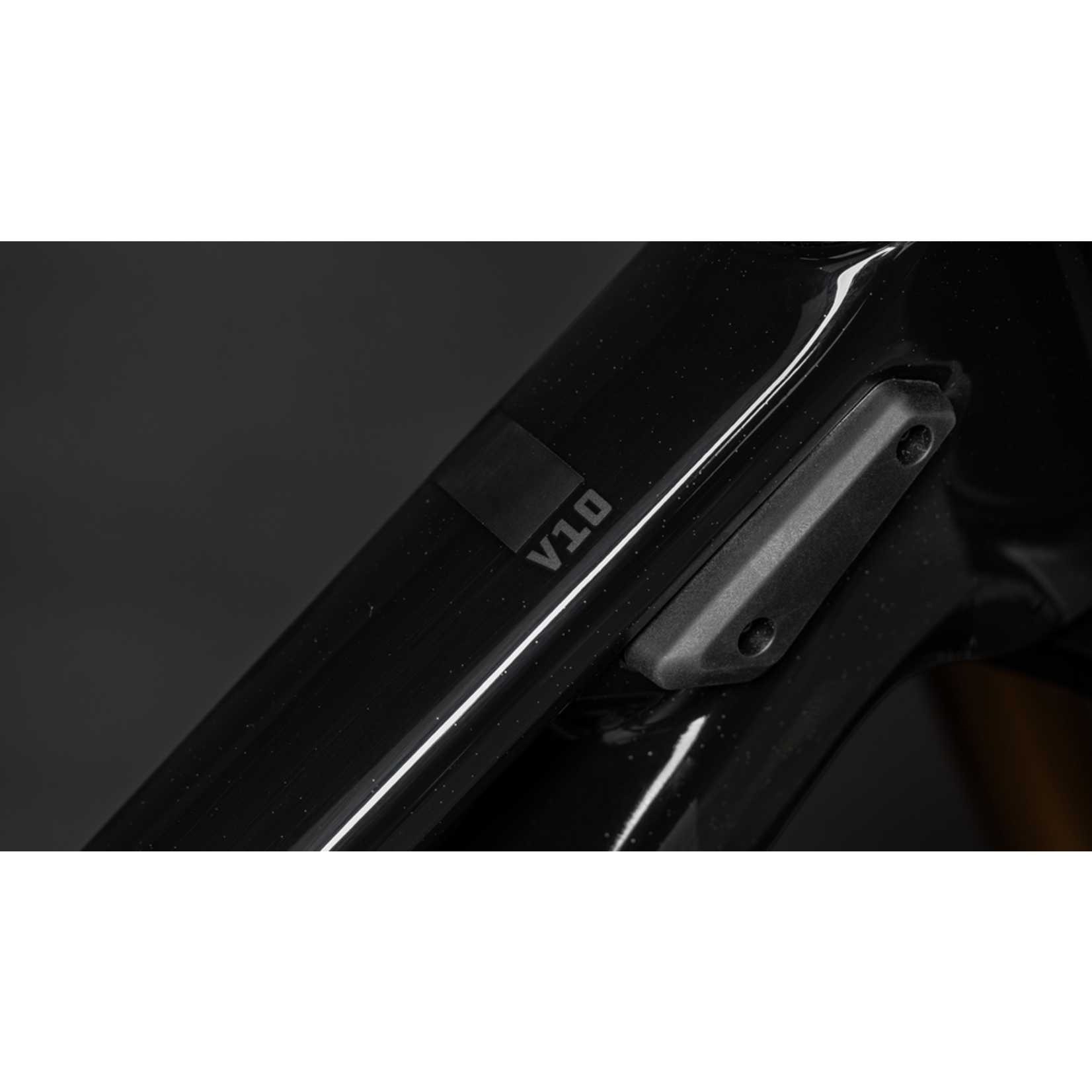 Santa Cruz V10 CC MX DH S