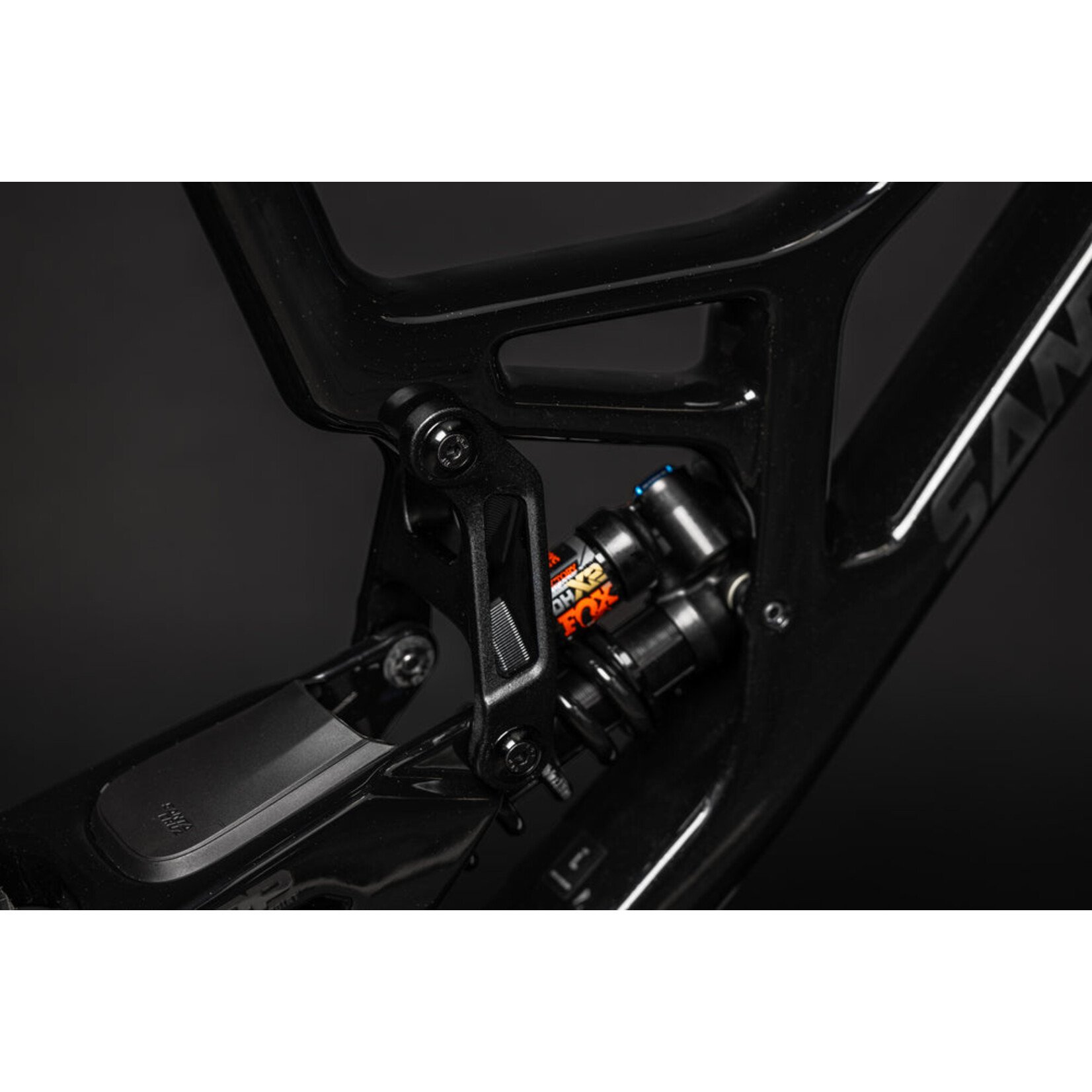 Santa Cruz V10 CC MX DH S