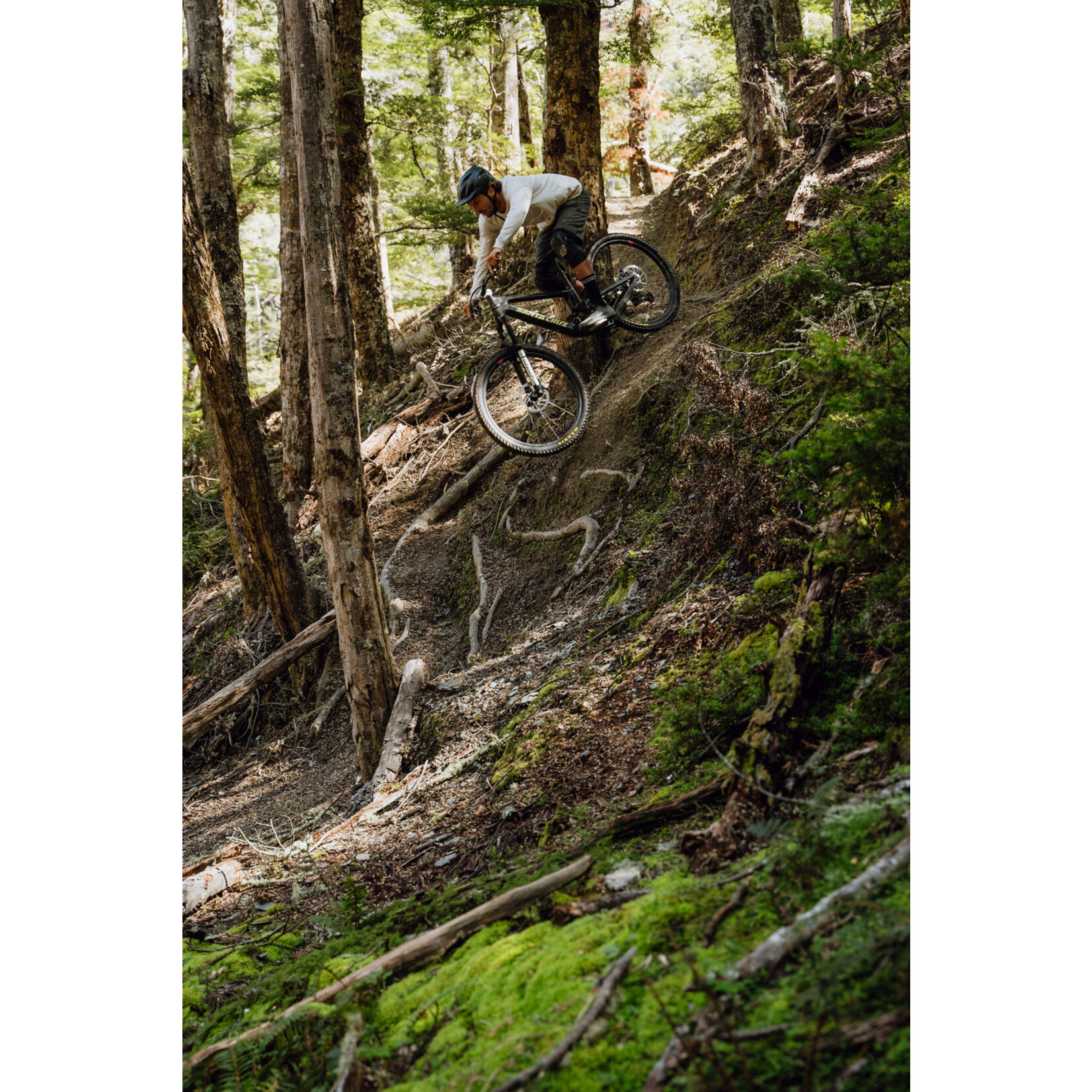 Santa Cruz Nomad 6 C Eagle 90
