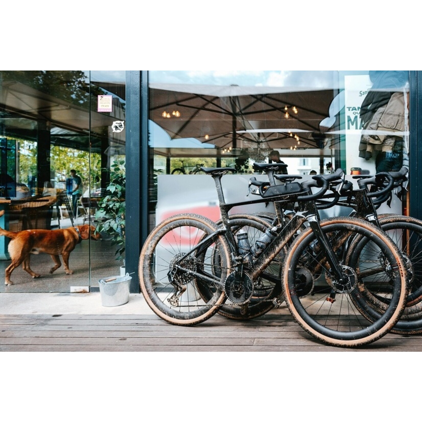 Cervélo Aspero-5 GRX RX825 Di2 2025