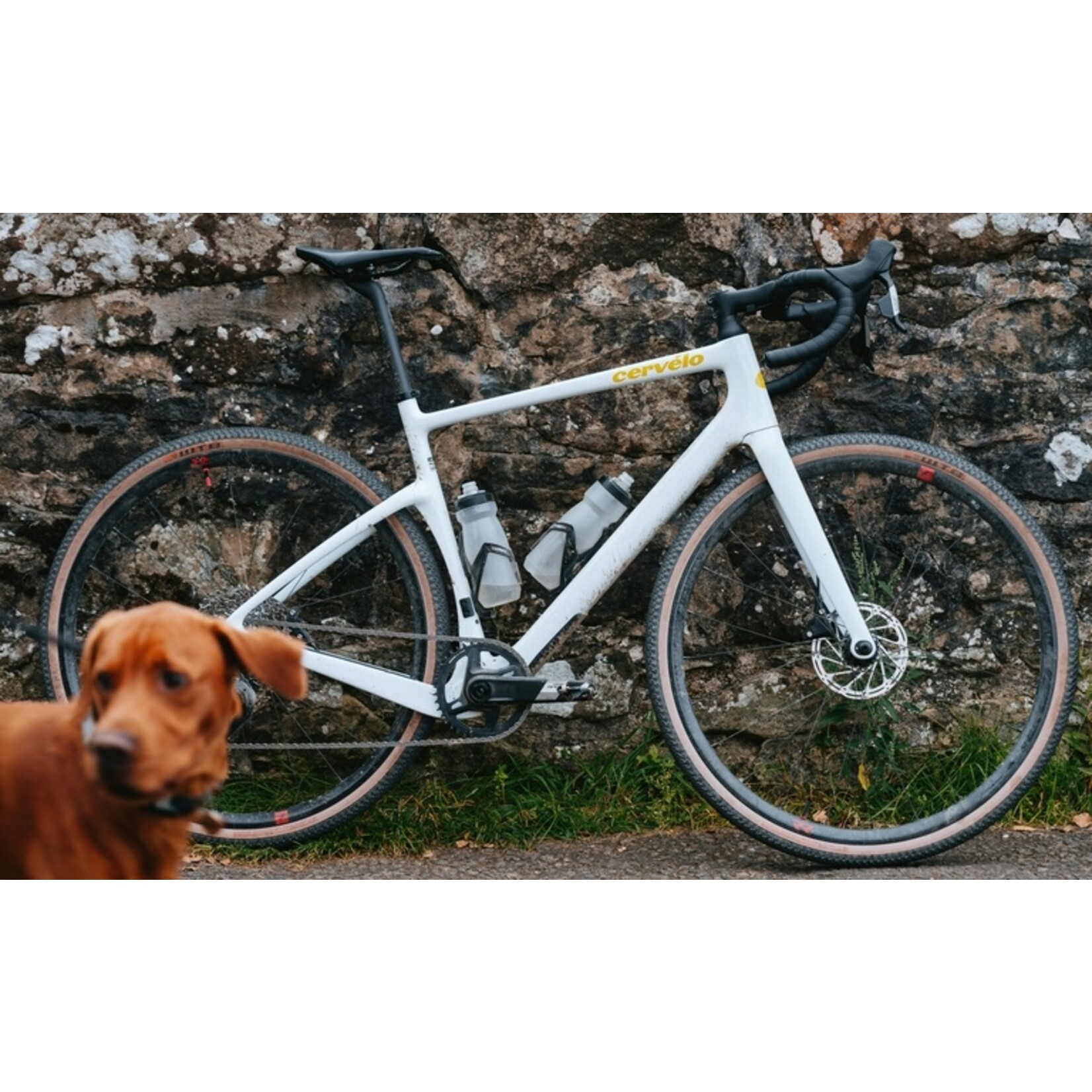 Cervélo Aspero Apex AXS 2026