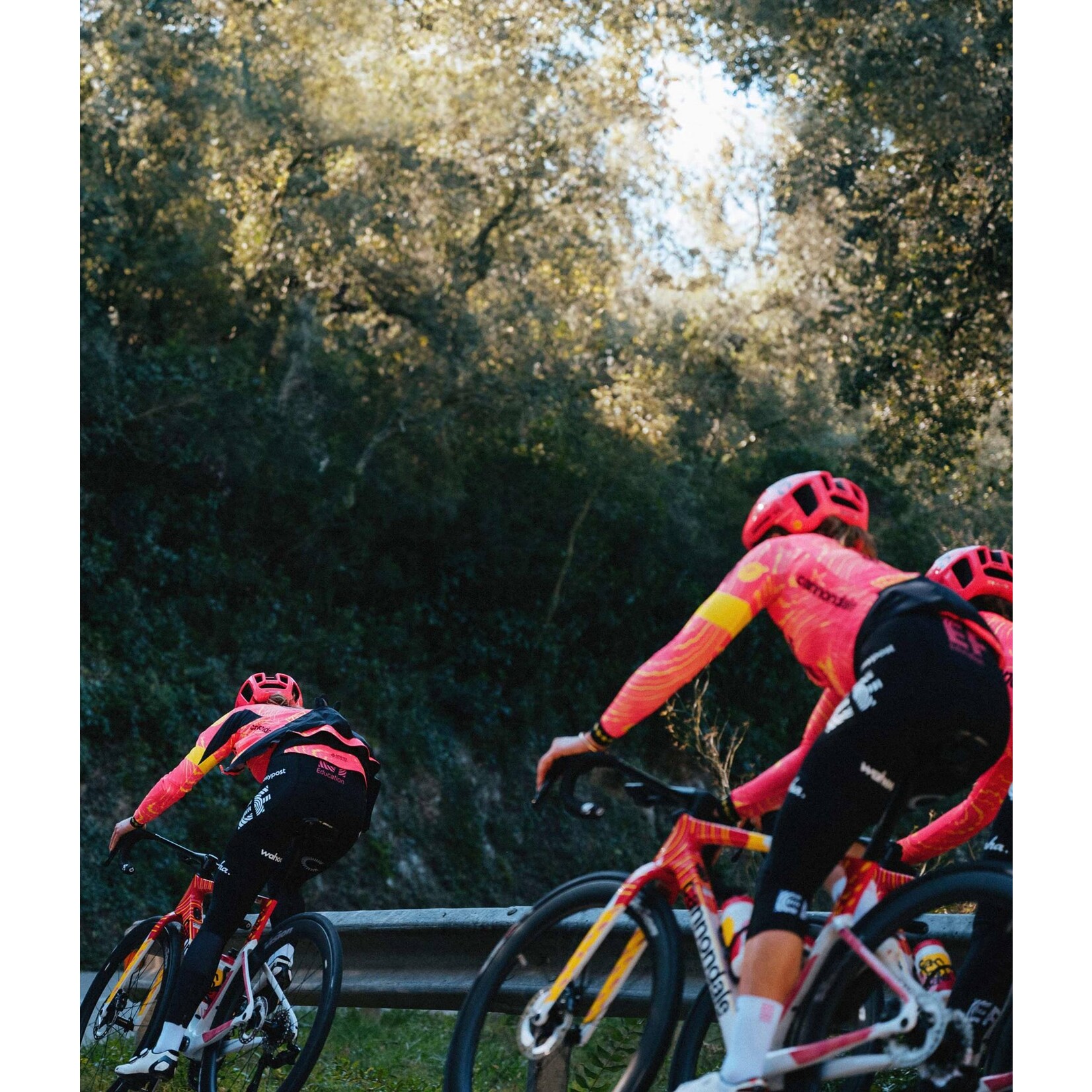 Cannondale SuperSix EVO LAB71 EF Team Replica 2025