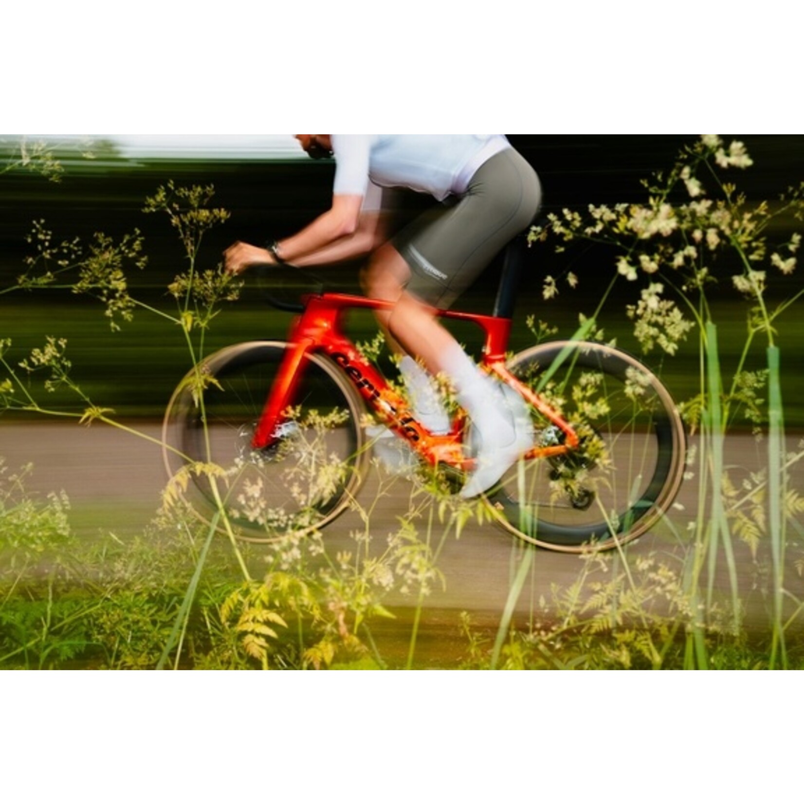 Cervélo S5 Red 2026