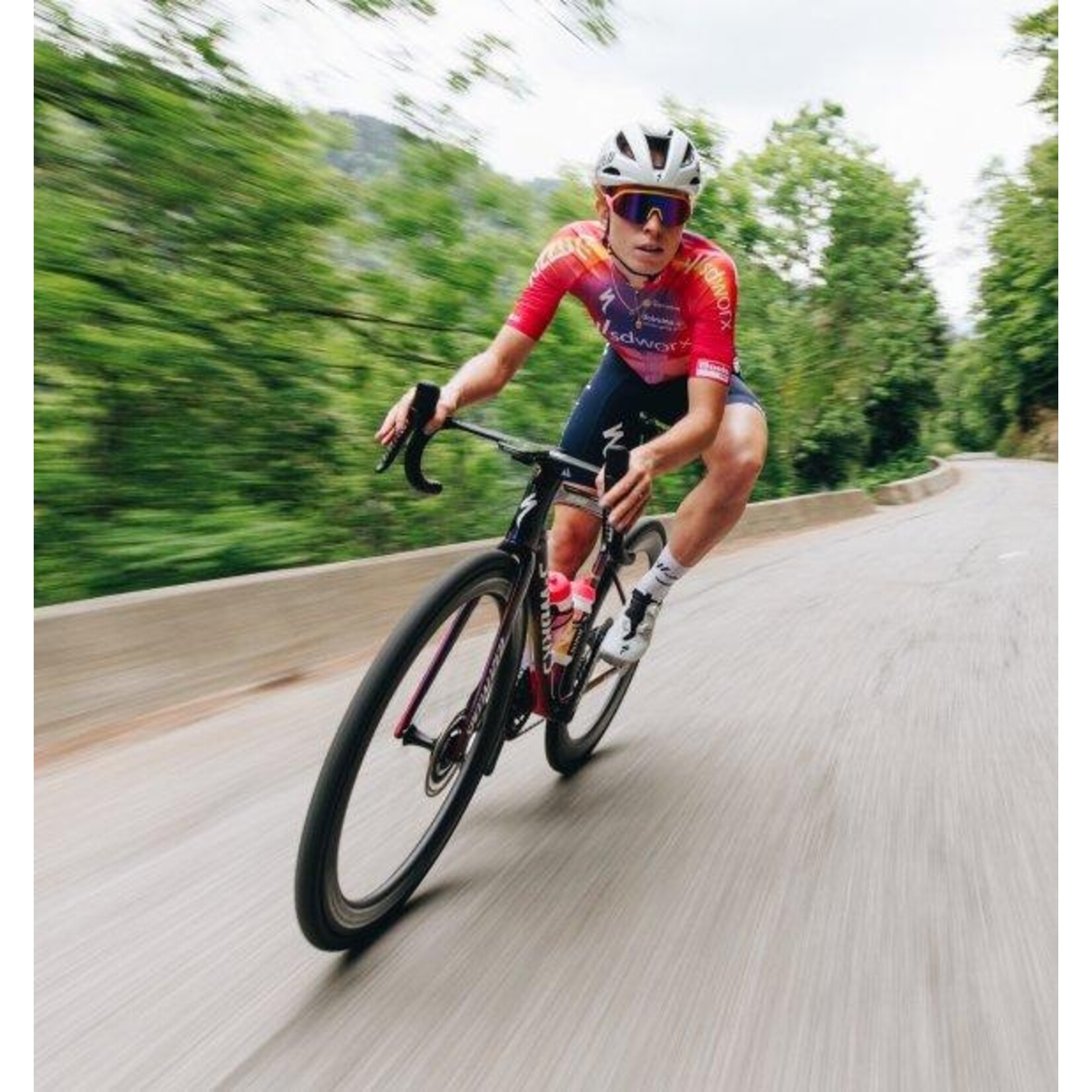 Specialized S-Works Tarmac SL8 Frameset 2026