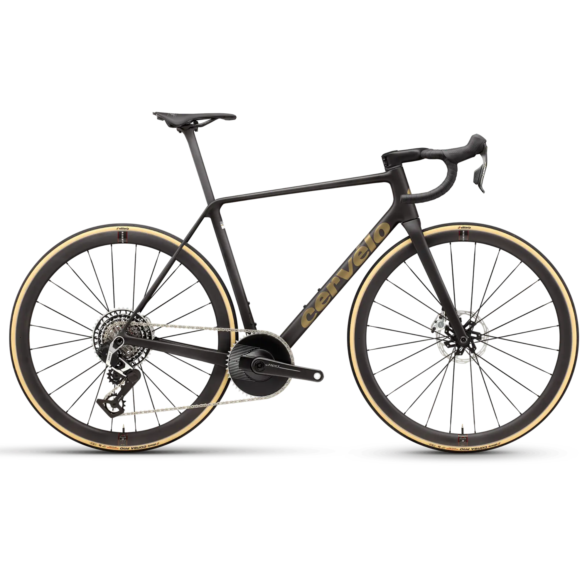 R5 Red 1 2026 - Golden Sports Inc.