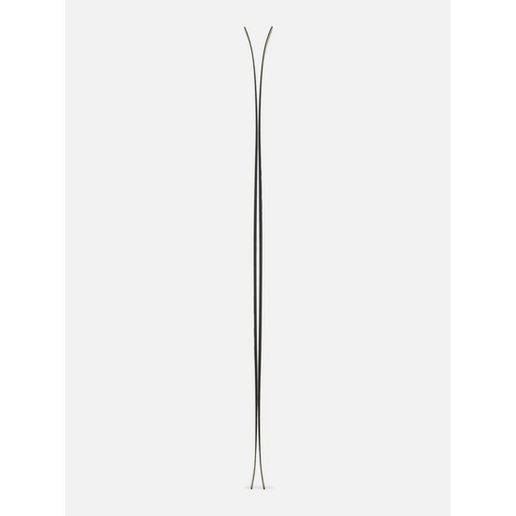 Völkl Revolt 101 Skis 2026