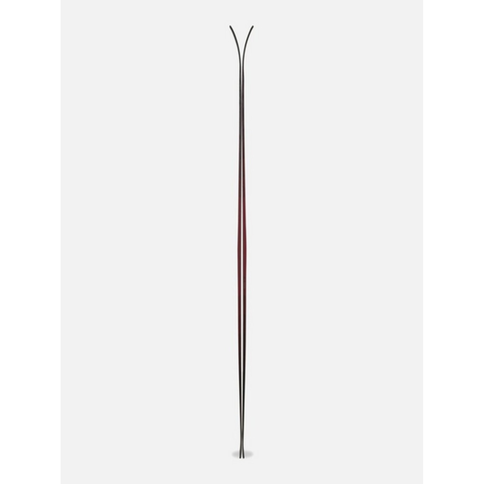 Völkl Rise Beyond 96 Skis 2026