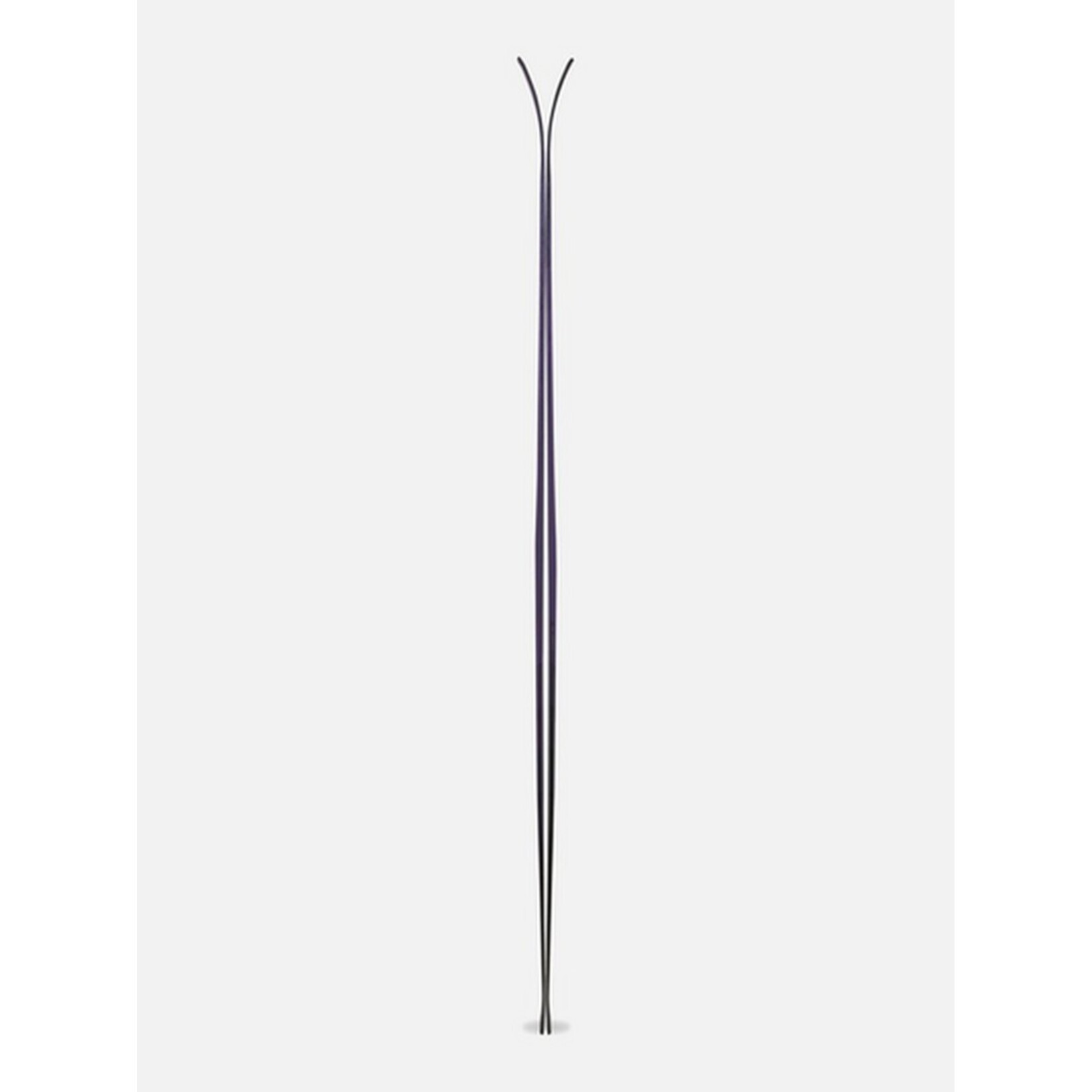 Völkl Rise Beyond 96 W Skis 2026