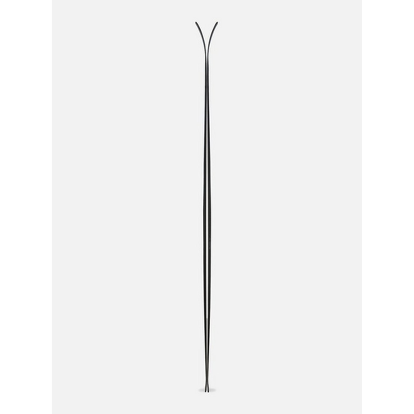 Völkl Rise Above 88 Skis 2026