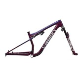 S-Works Epic 9 Frameset - Golden Sports Inc.