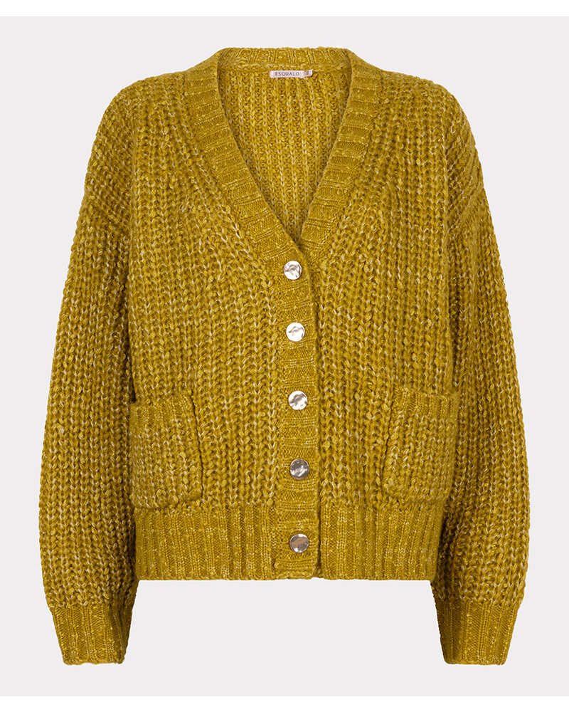 Cardigan F2502540