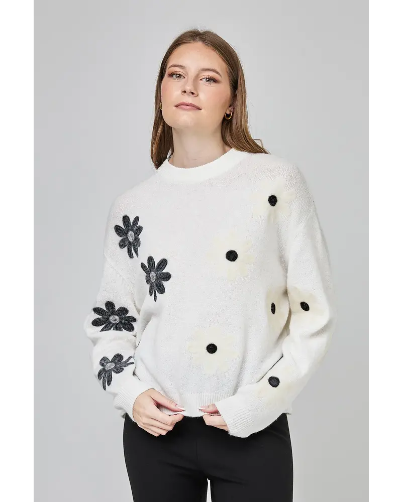 Knit Sweater CF25-918