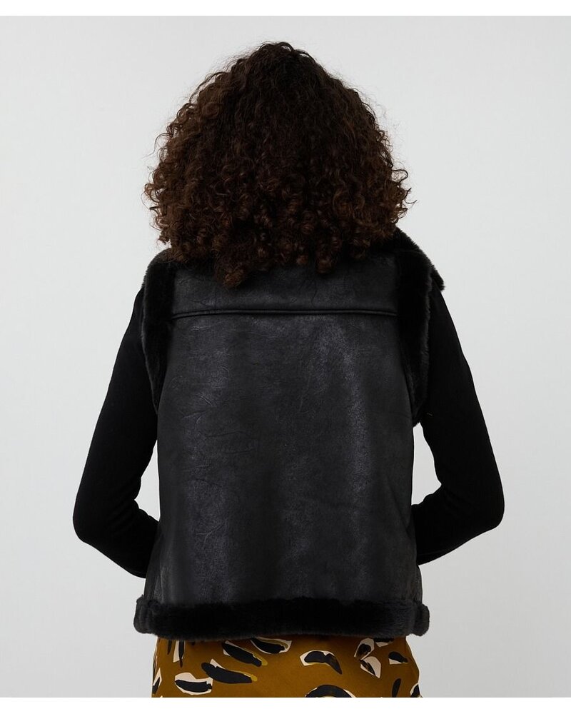 Esqualo Vest F2537502