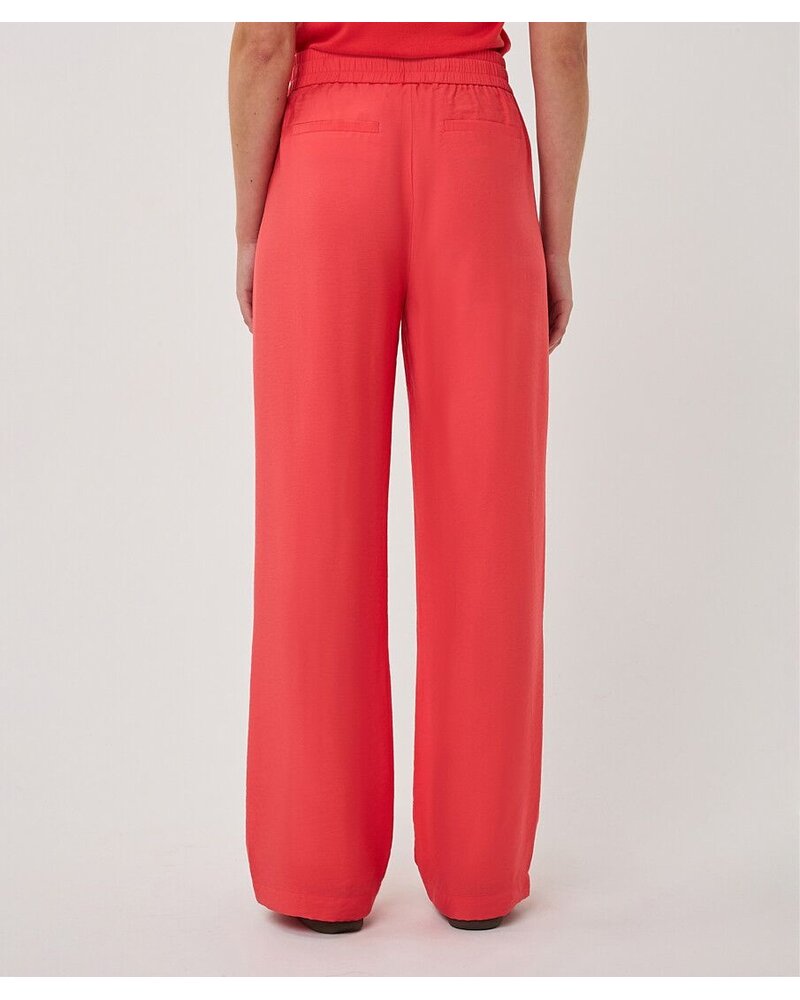 Esqualo Esqualo Pantalon SP2610033
