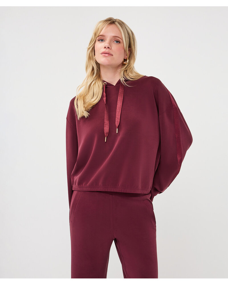 Esqualo Hoodie avec bande élastique  F2605509