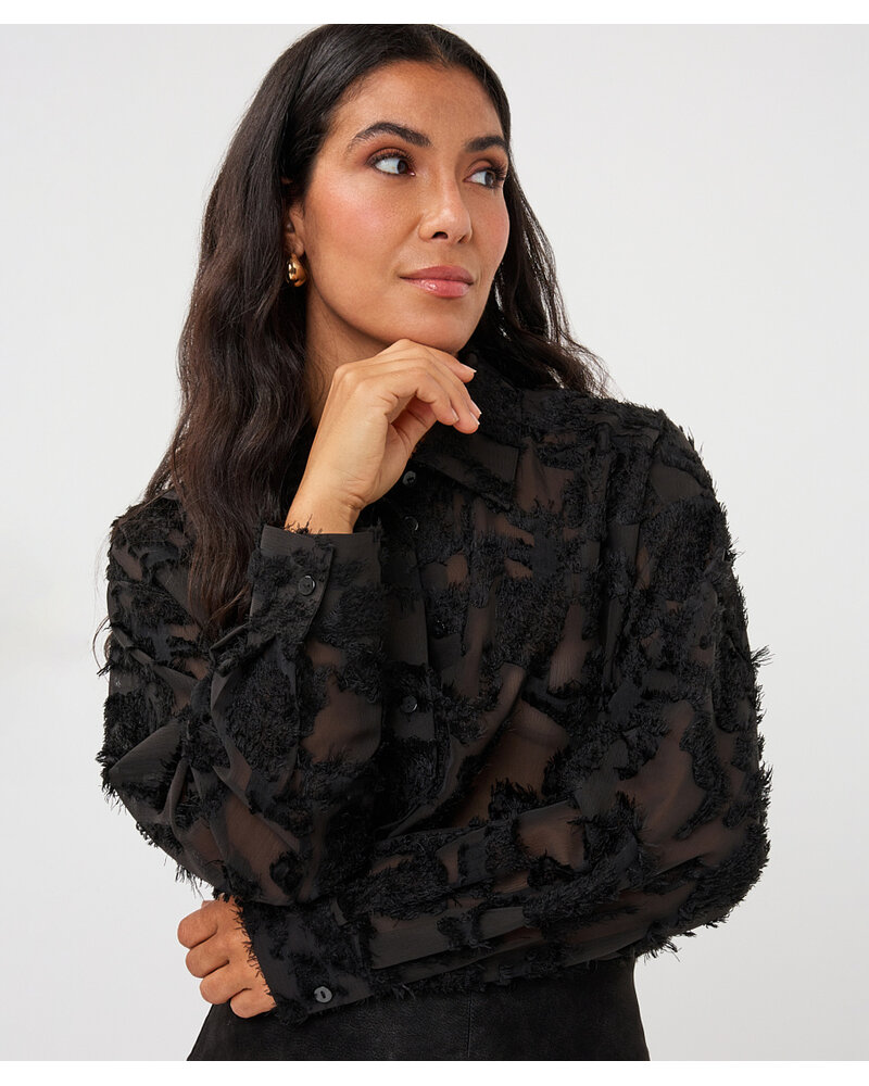 Esqualo Blouse effilochée F2615508