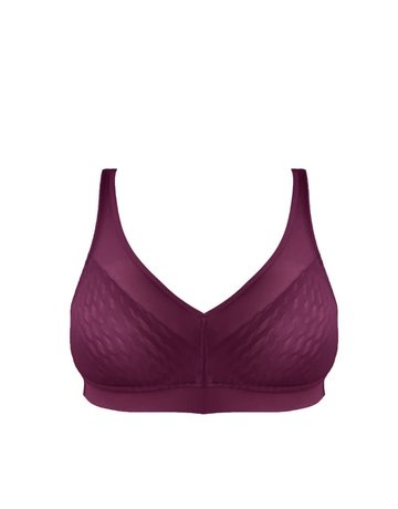 Elevated Allure Seamless Lift Bra