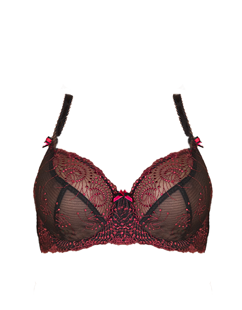 Fitfully Yours B2271 Black/Red Nicole See Thru Lace Underwire Bra –