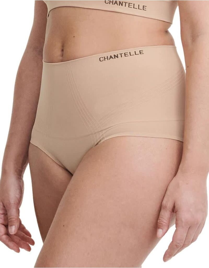 Chantelle Women's Smooth Comfort High Waist Brief Panty, 10U7, Sirrocco, M