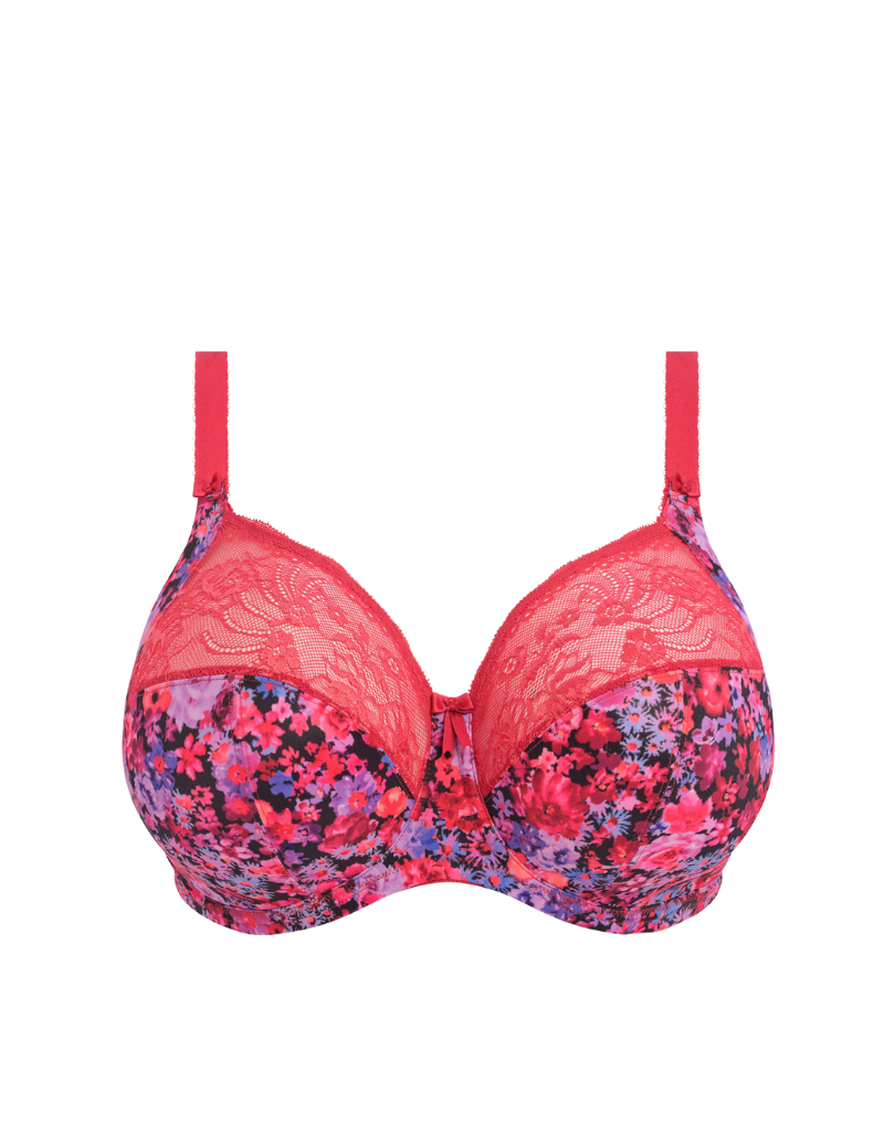 All About Lace Bras  The BraBar - The BraBar & Panterie