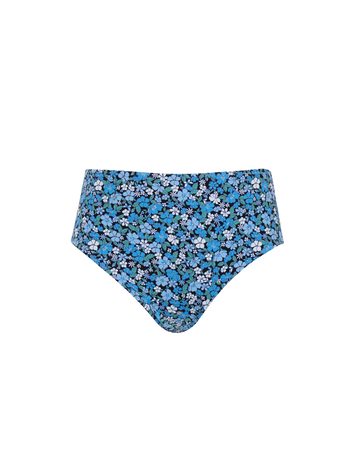 Panache High Waist Swim Bottom 1755