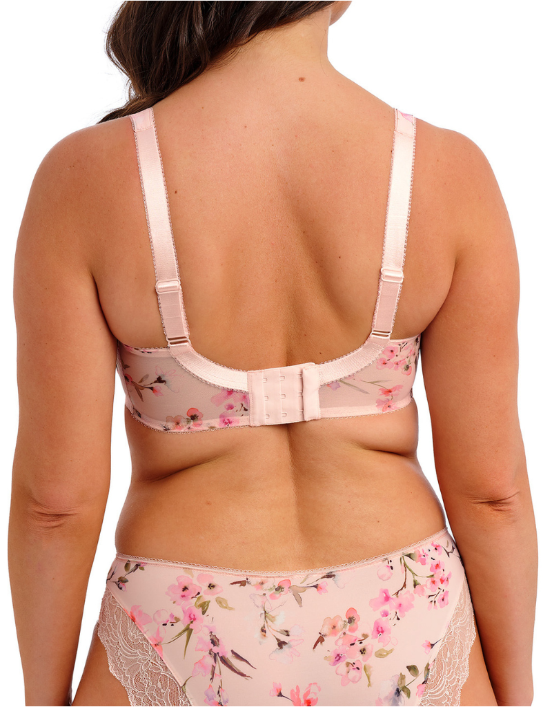 Fantasie Lucia 101501