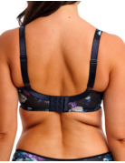 Fantasie Lucia 101501