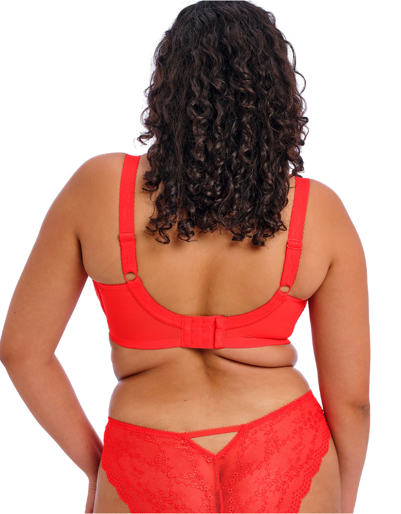 Elomi Charley 4383