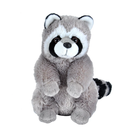 Wild sale republic raccoon