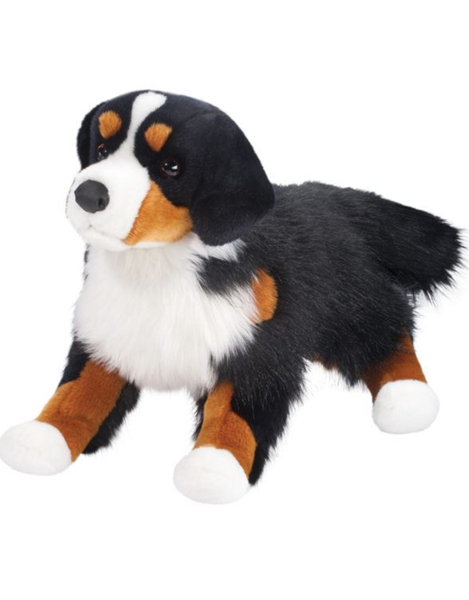 Douglas Douglas - Alps Bernese Mtn. Dog