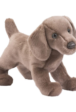 Douglas Douglas - Cassie Weimaraner