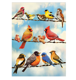 Cobble Hill Birds on a Wire (500pcs)